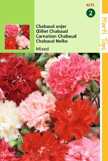 Tuinanjer Chabaud Mix (Dianthus) 125 zaden